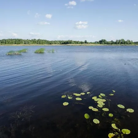 Golubie * Ełk
